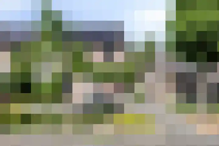 Bartokstraat 2 Schijndel thumbnail 7