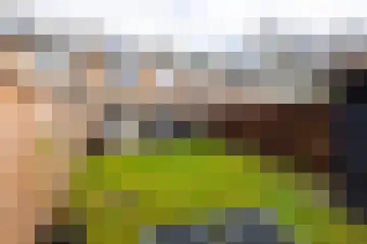 Bartokstraat 208 Tilburg thumbnail 37