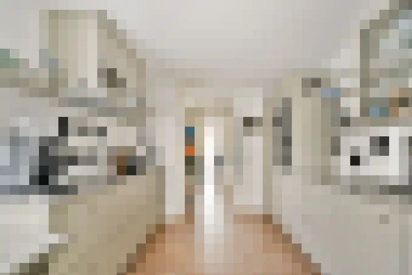 Bartokstraat 24 Rhoon thumbnail 15