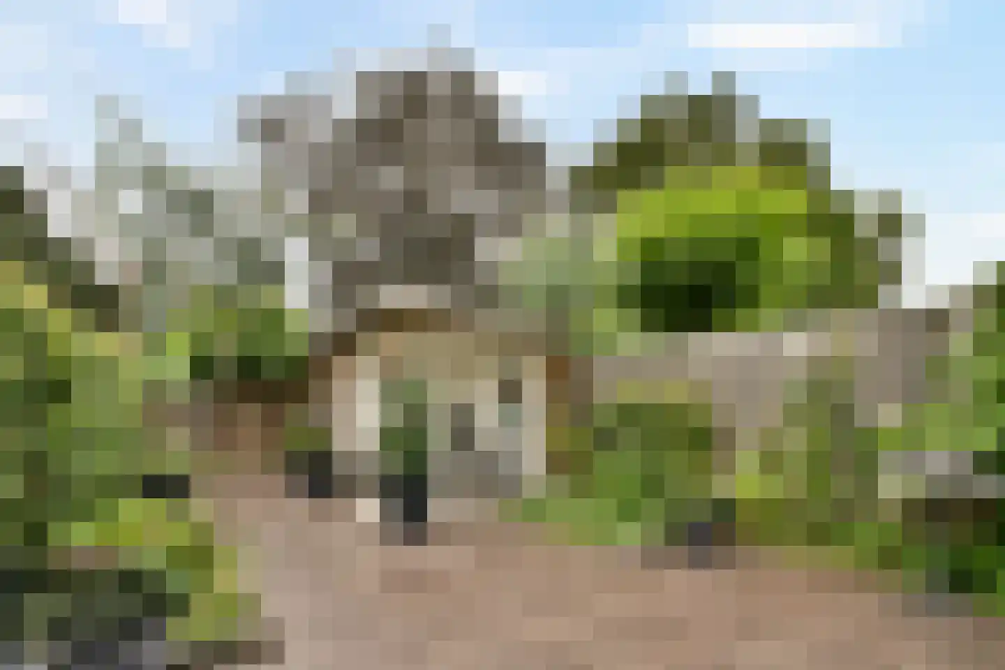 Bartokstraat 24 Rhoon thumbnail 25