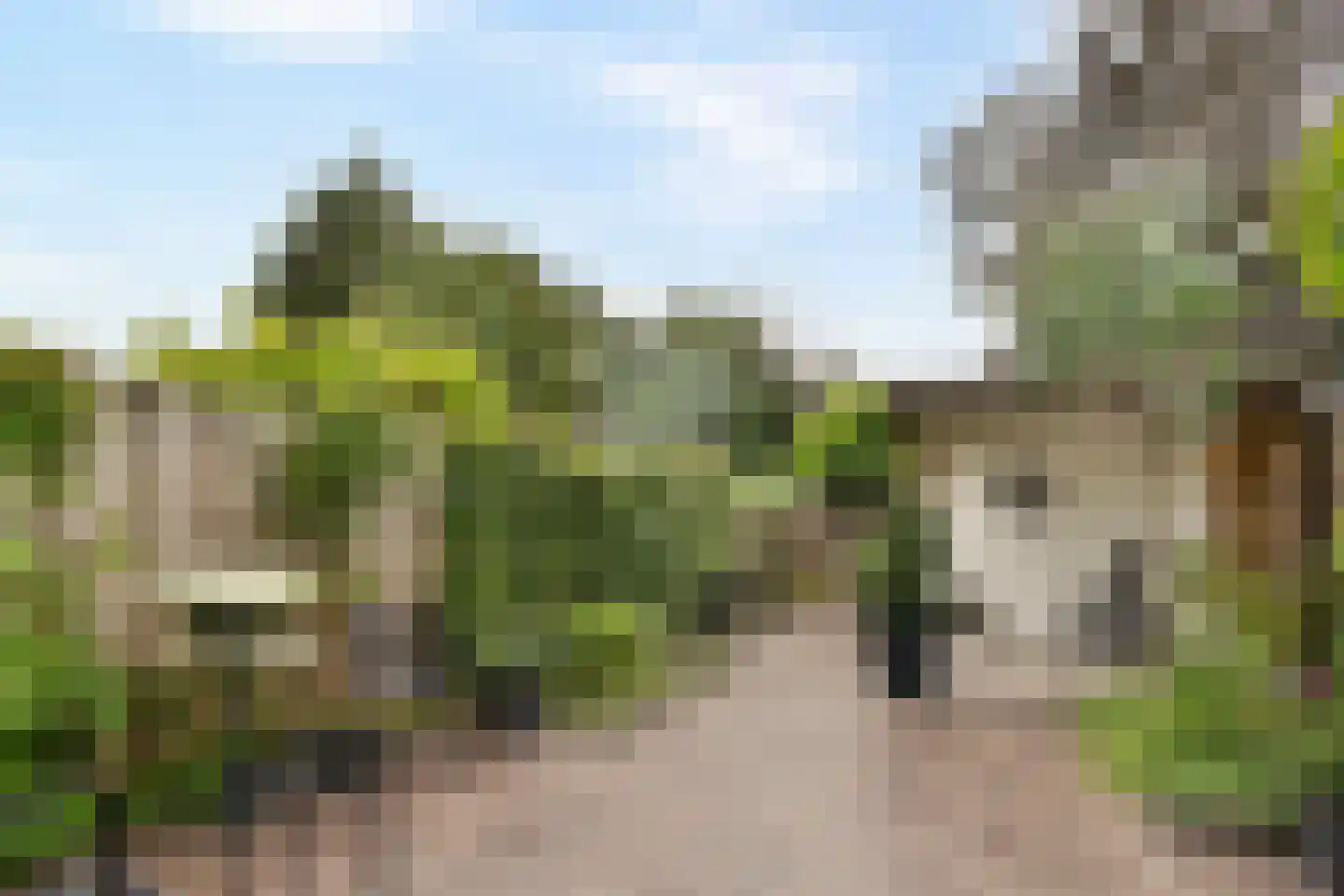 Bartokstraat 24 Rhoon thumbnail 5