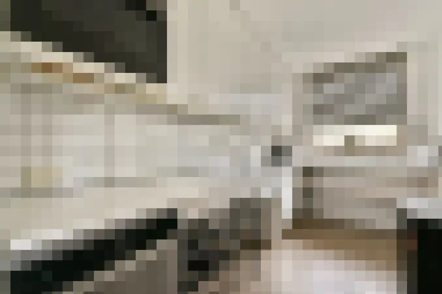 Bartokstraat 29 Rhoon thumbnail 11