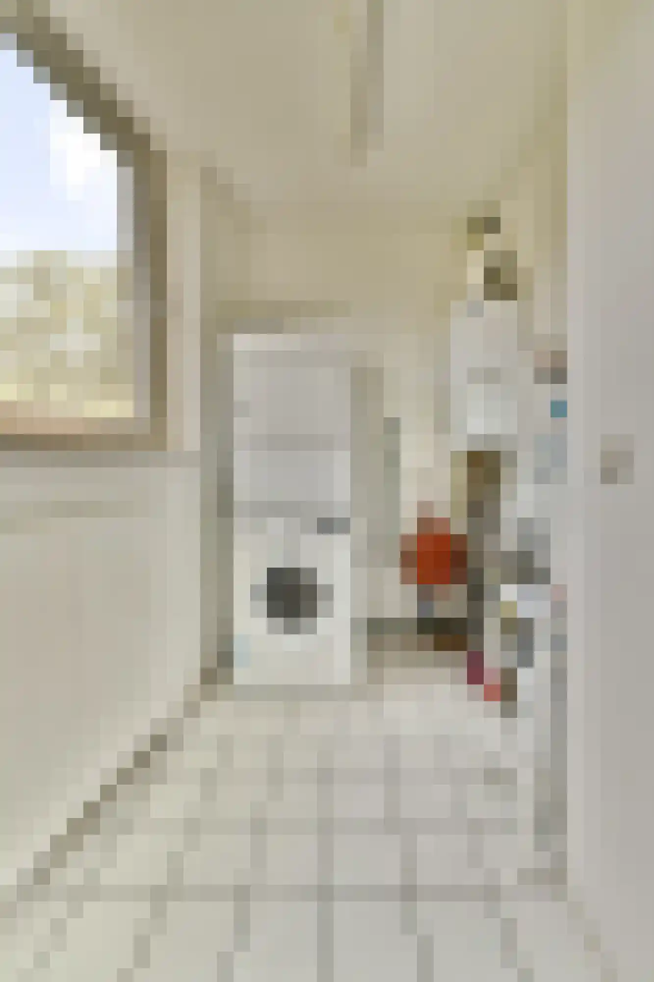 Bartokstraat 29 Rhoon thumbnail 16