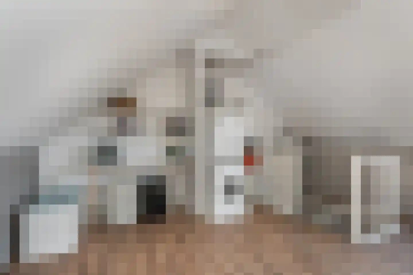 Bartokstraat 31 Schijndel thumbnail 21