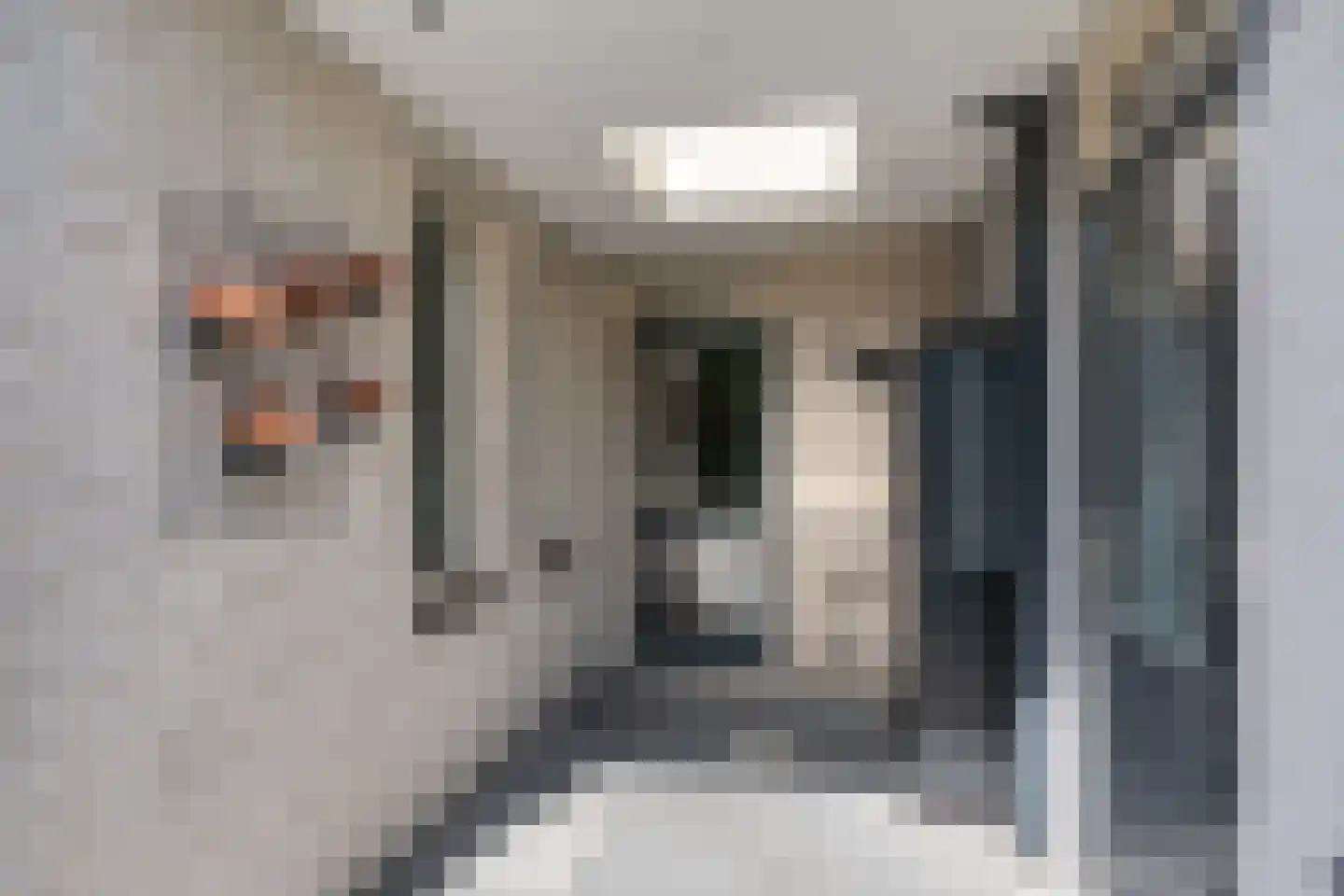 Bartokstraat 31 Schijndel thumbnail 25