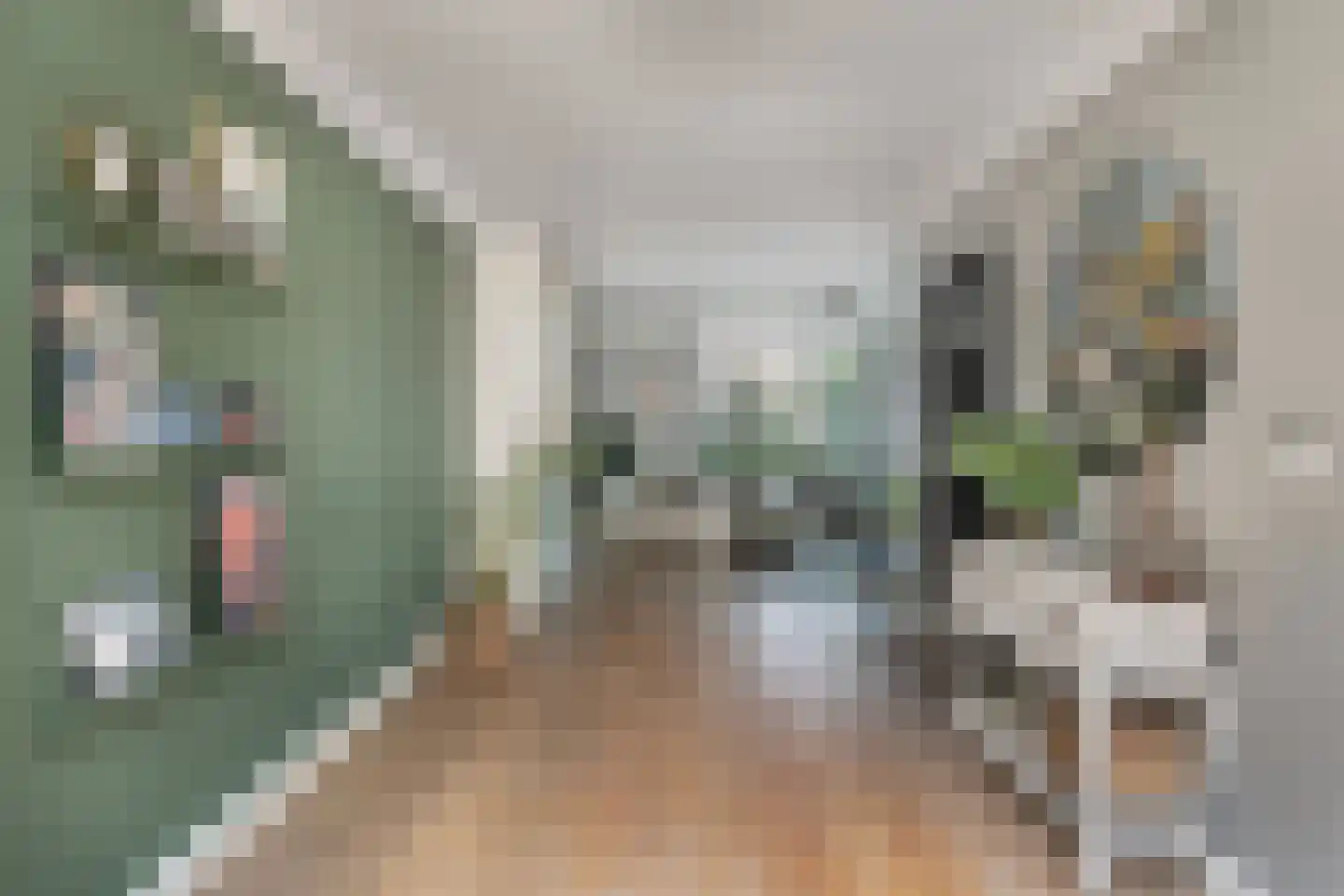 Bartokstraat 31 Schijndel thumbnail 6