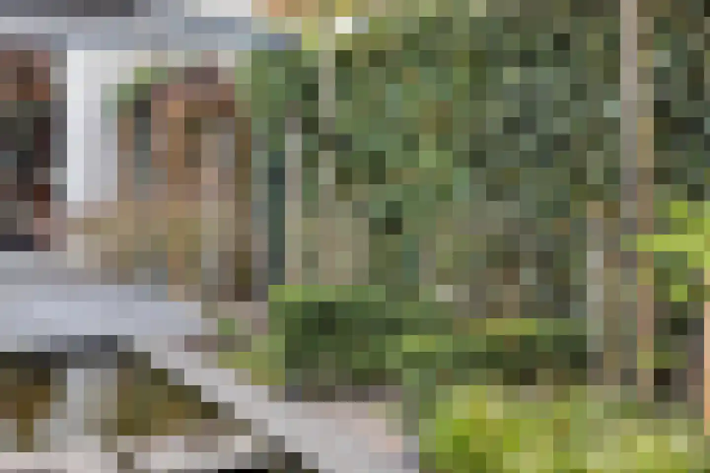 Bartokstraat 32 Schijndel thumbnail 36