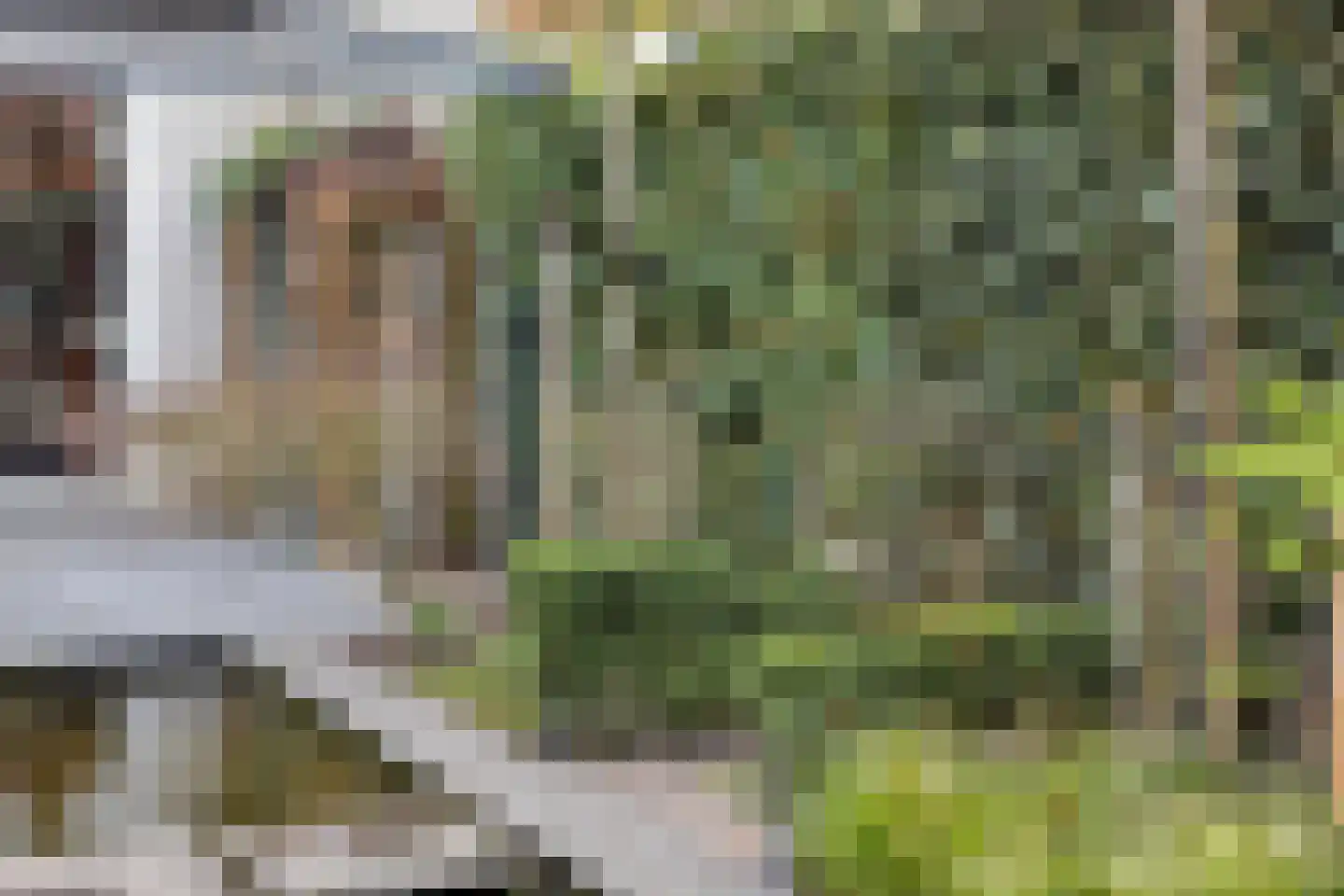 Bartokstraat 32 Schijndel thumbnail 36