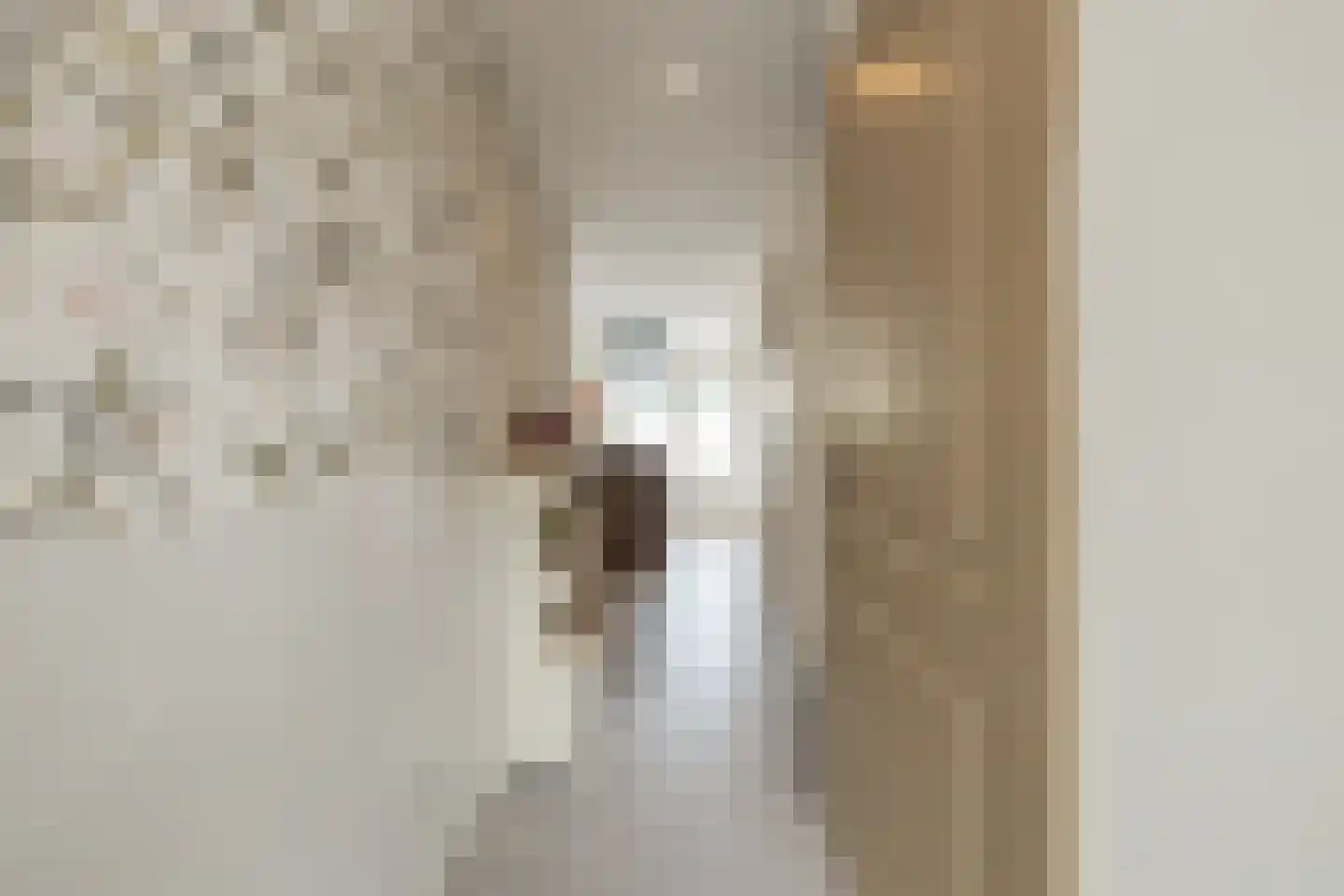 Bartokstraat 33 Lisse thumbnail 7