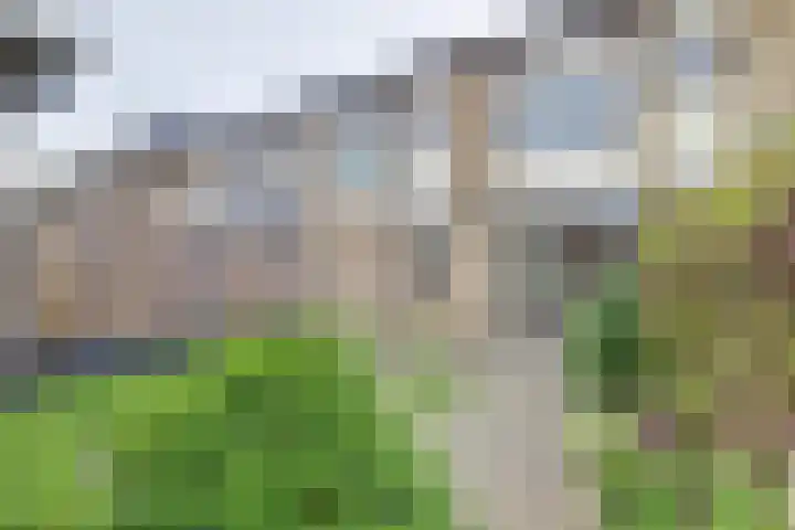 Bartokstraat 38 Nieuwegein thumbnail 10