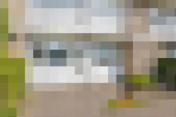 Bartókstraat 5 Almelo thumbnail 26