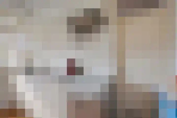 Bartókstraat 5 Almelo thumbnail 6