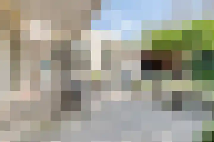 Bartokstraat 53 Schijndel thumbnail 4