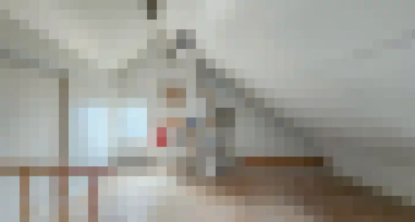 Bartokstraat 7 St. Willebrord thumbnail 21