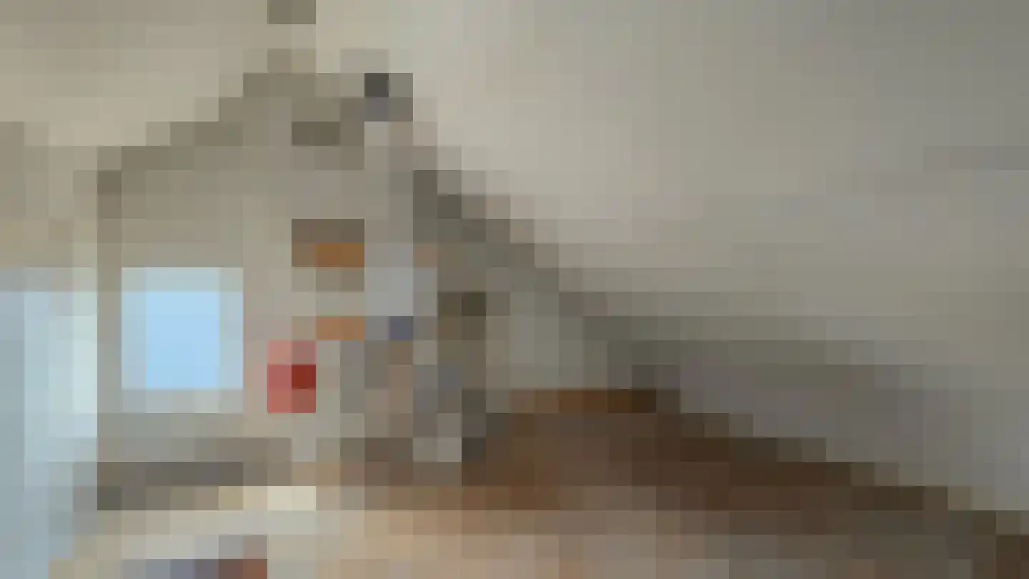 Bartokstraat 7 St. Willebrord thumbnail 22