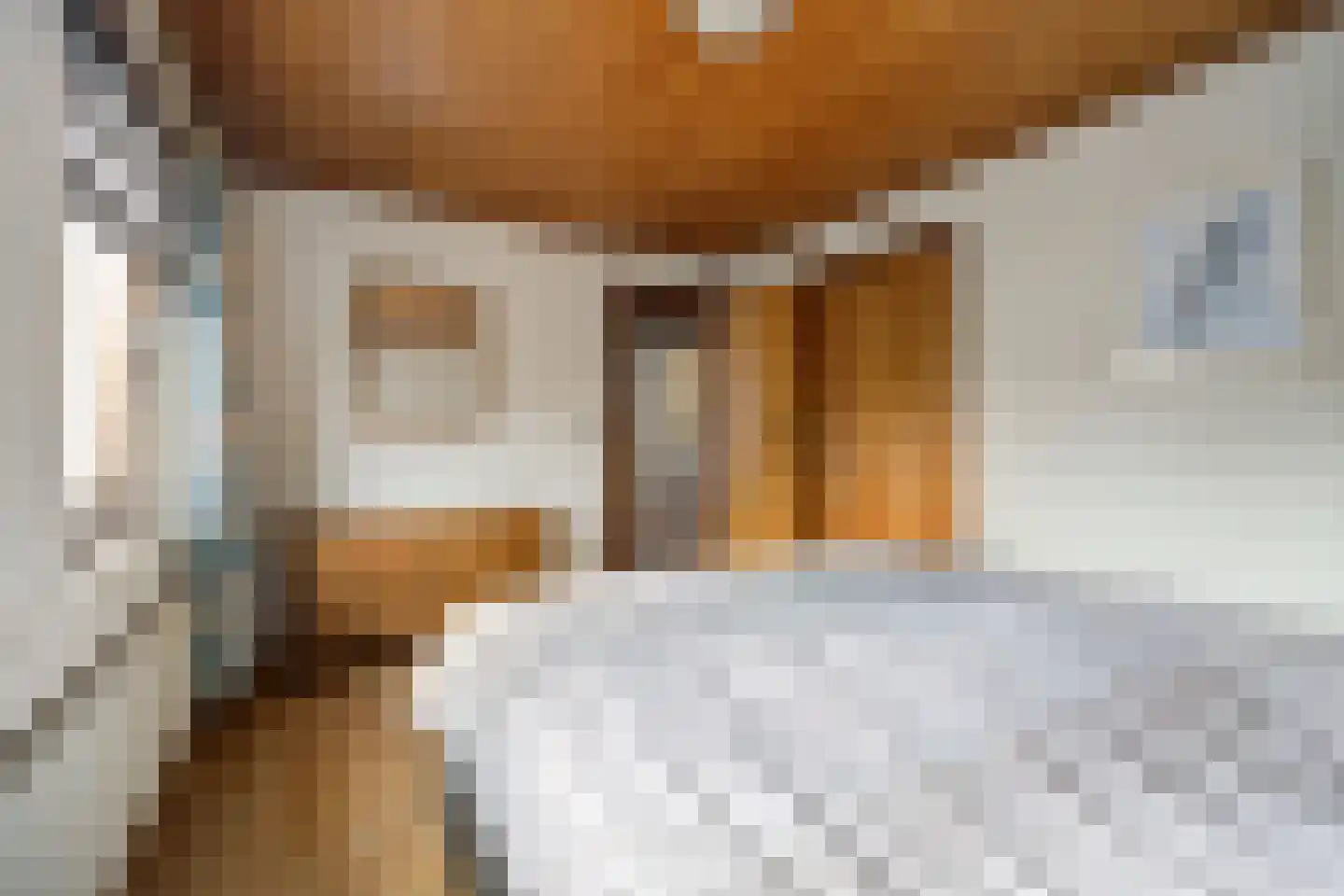 Bartokstraat 7 St. Willebrord thumbnail 23