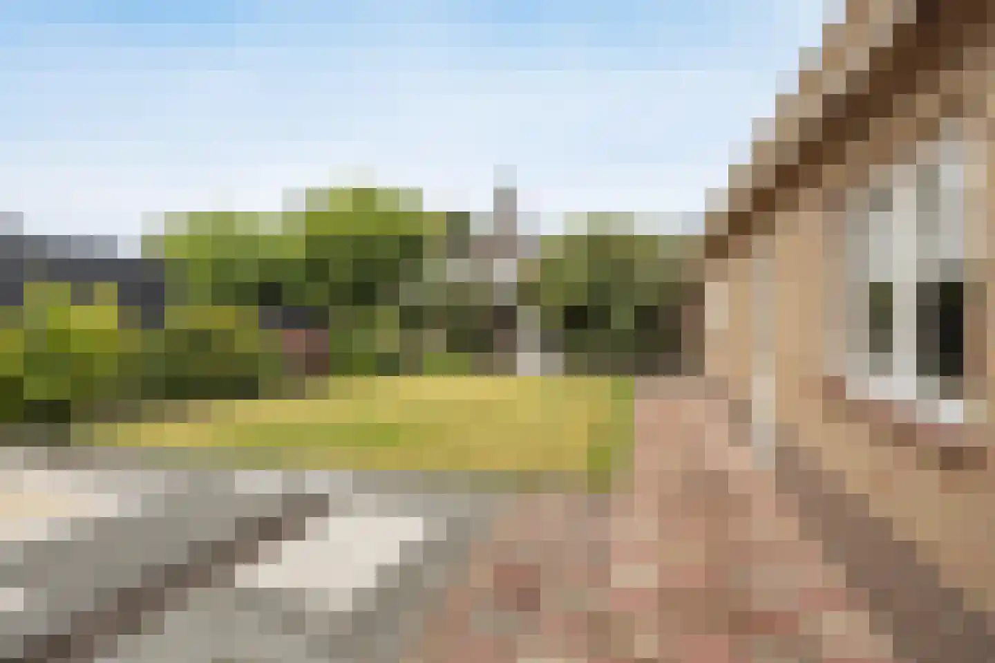 Bartokstraat 7 St. Willebrord thumbnail 34