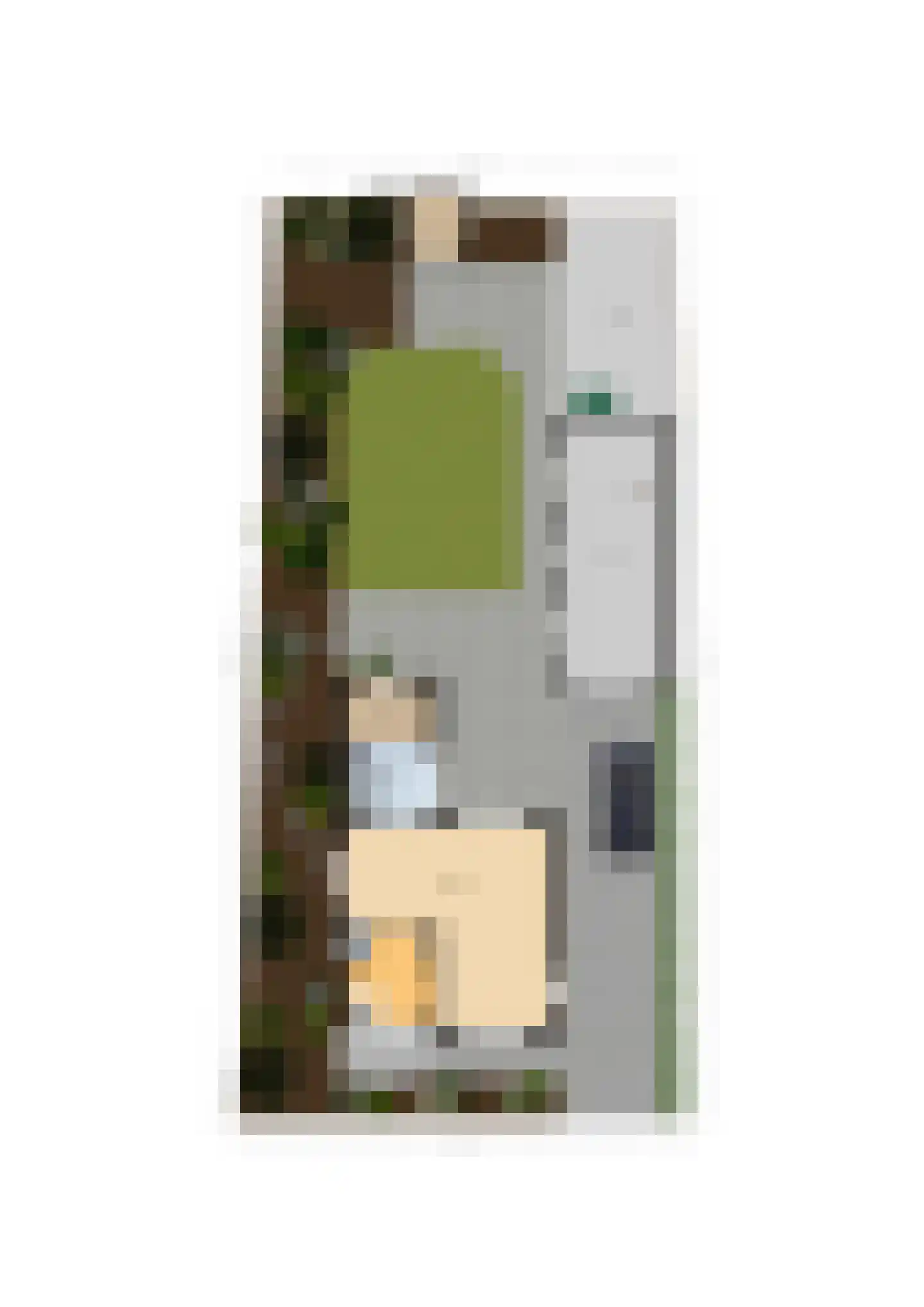 Bartokstraat 7 St. Willebrord thumbnail 50