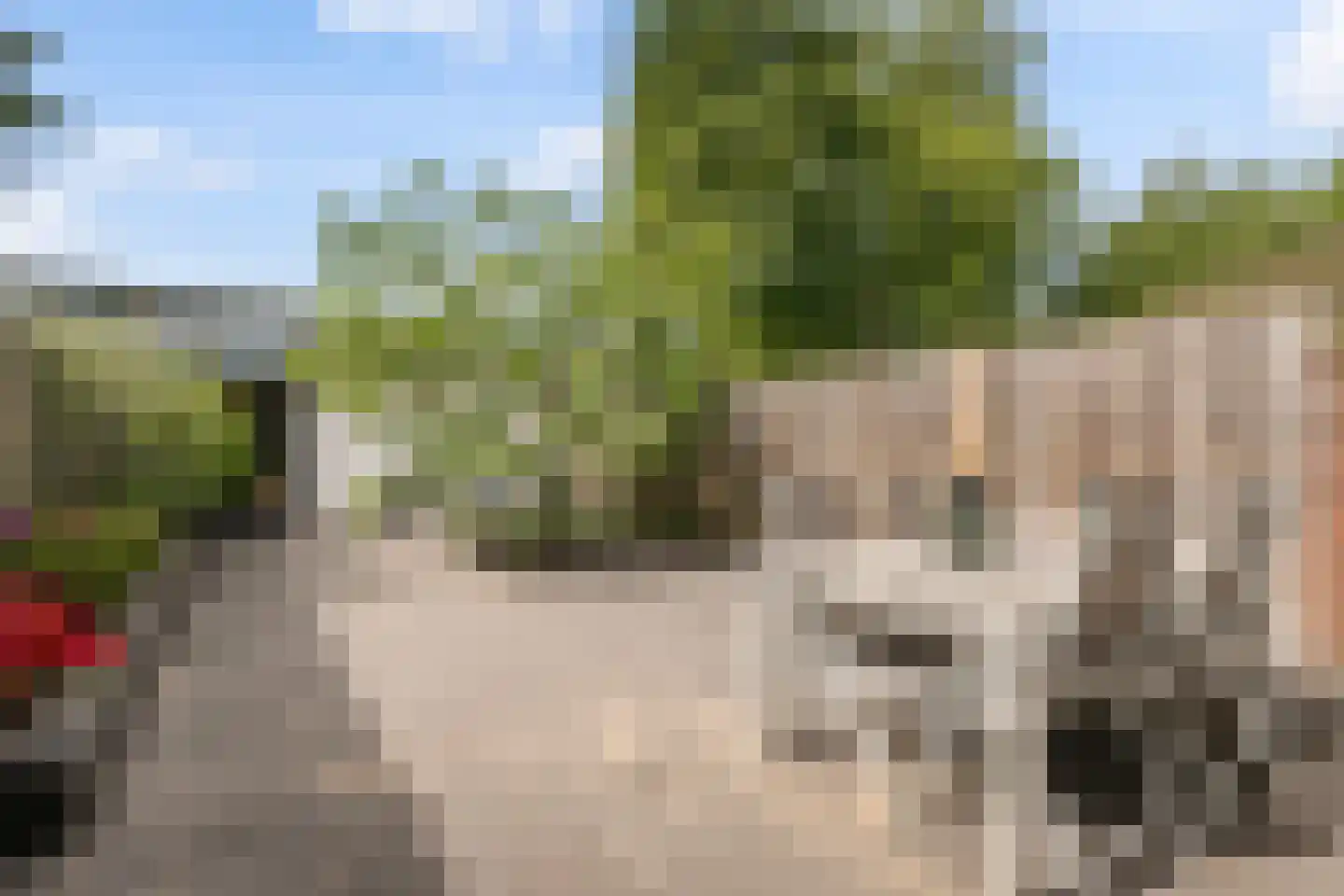 Bartókstraat 7 Zevenaar thumbnail 13