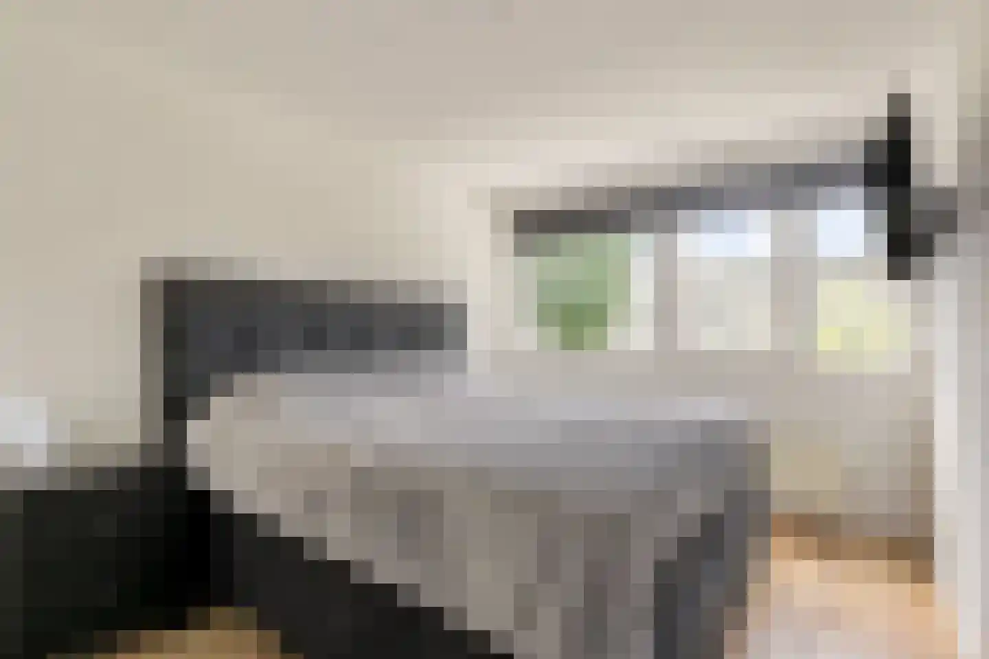 Bartókstraat 7 Zevenaar thumbnail 20