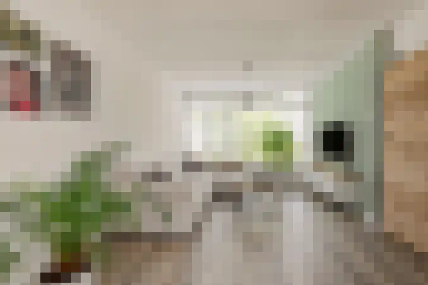 Bartókstraat 7 Zevenaar thumbnail 7