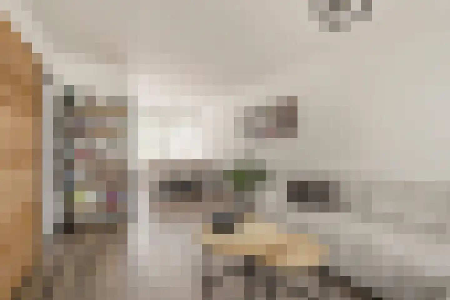 Bartókstraat 7 Zevenaar thumbnail 9