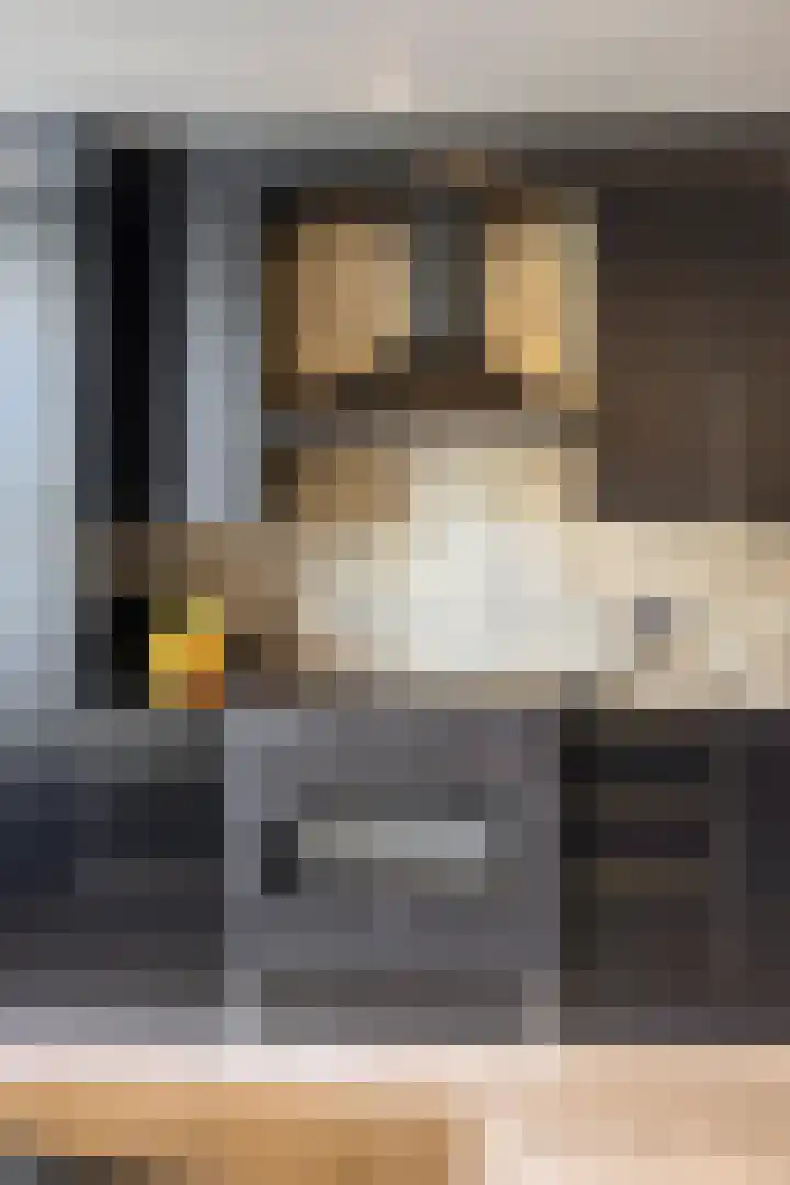 Bartókstraat 72 Elst thumbnail 21