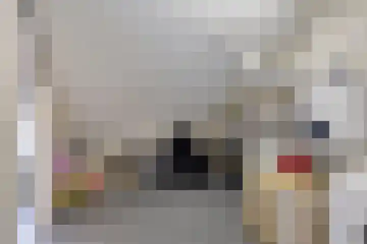Bartókstraat 72 Elst thumbnail 37