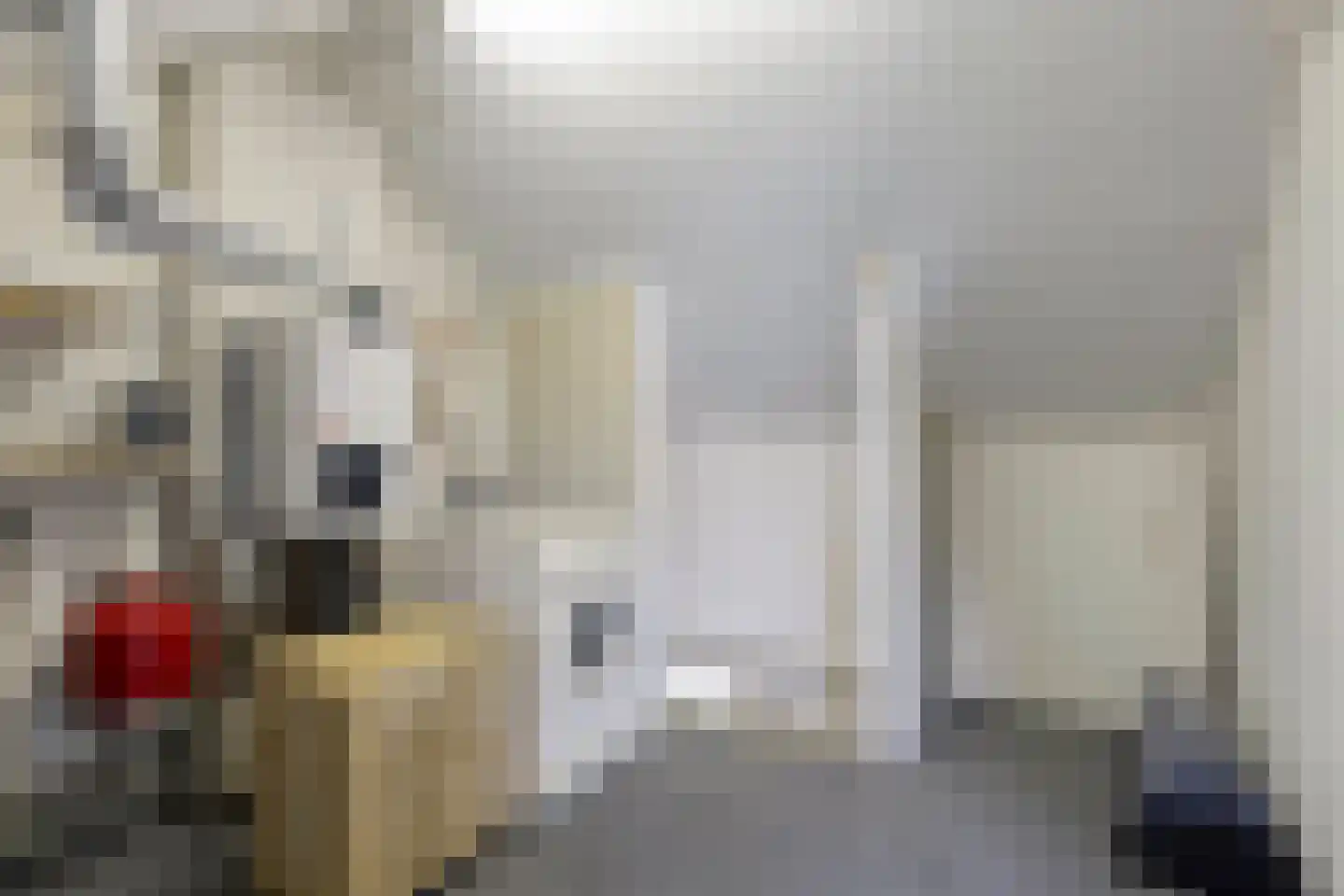 Bartókstraat 72 Elst thumbnail 37