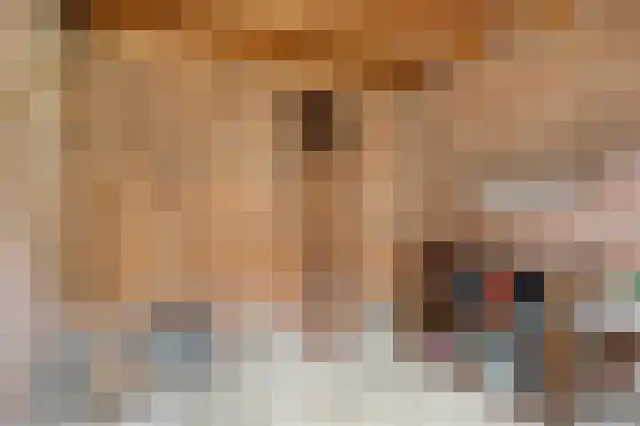 Bartokstraat 8 Culemborg thumbnail 26