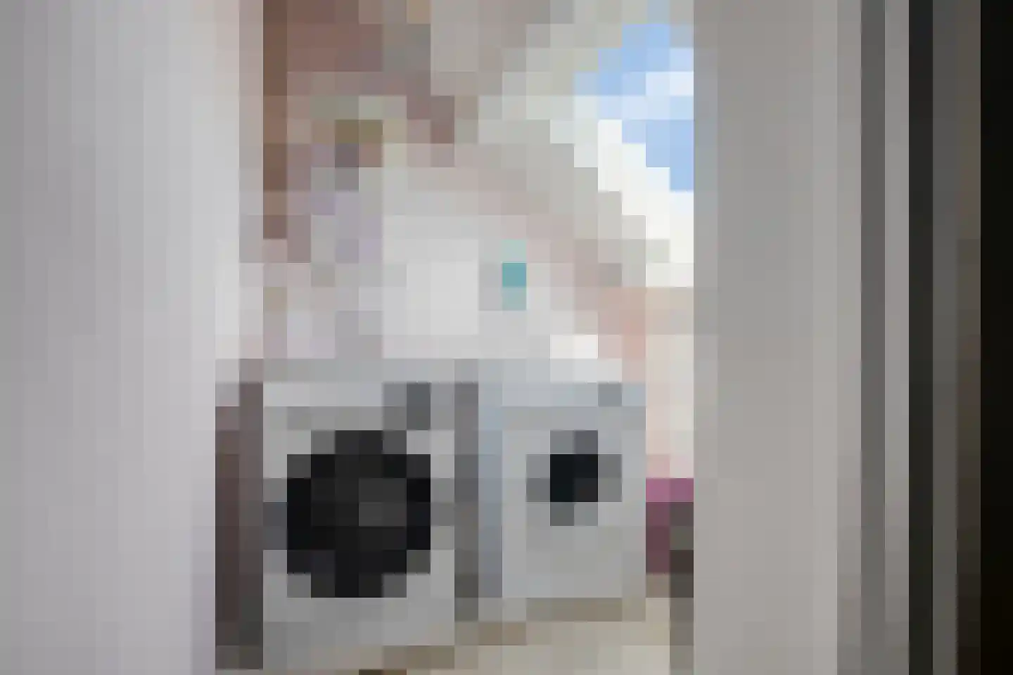 Bartokstraat 9 Zutphen thumbnail 23