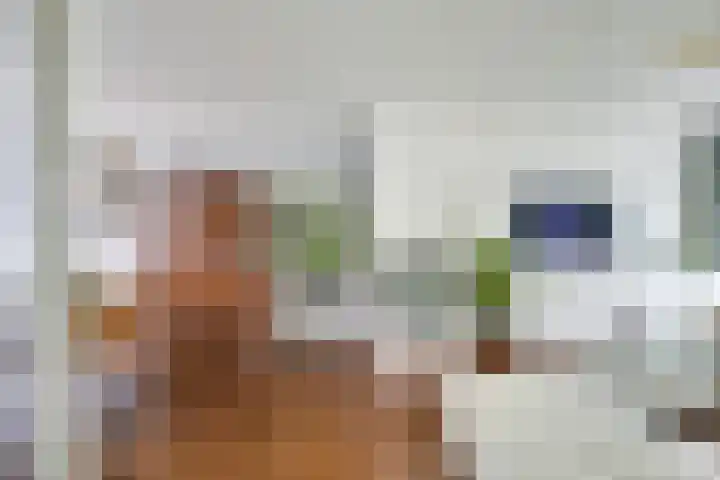 Bartolomeo Diazlaan 71 Utrecht thumbnail 13