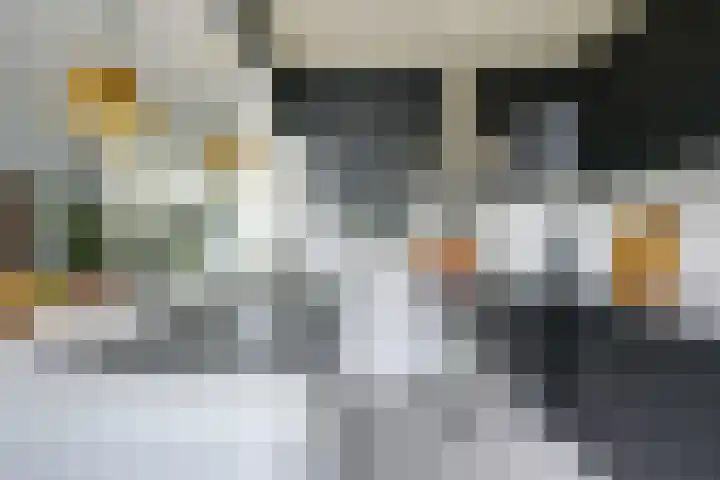 Bartolomeo Diazlaan 71 Utrecht thumbnail 23