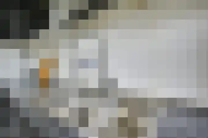 Bartolomeo Diazlaan 71 Utrecht thumbnail 25