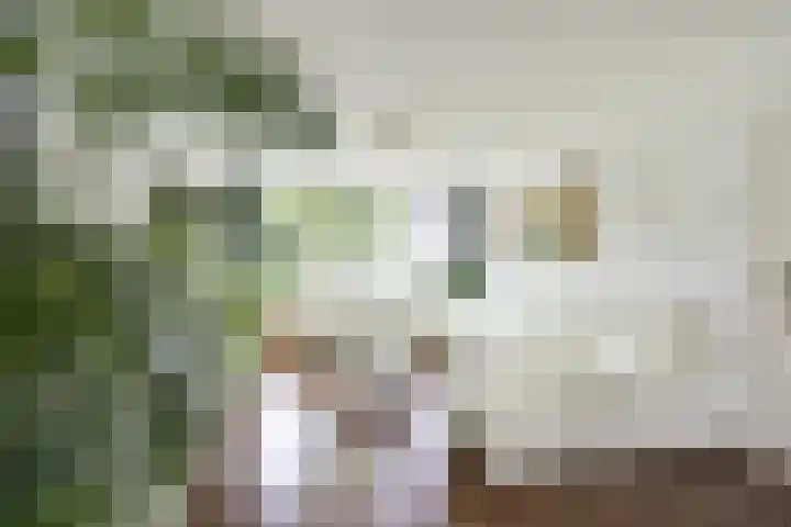Bartolomeo Diazlaan 71 Utrecht thumbnail 4