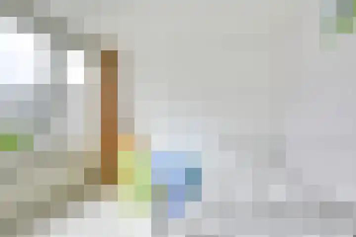 Bartolomeo Diazlaan 71 Utrecht thumbnail 47