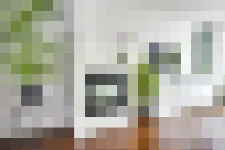 Bartolomeo Diazlaan 71 Utrecht thumbnail 6