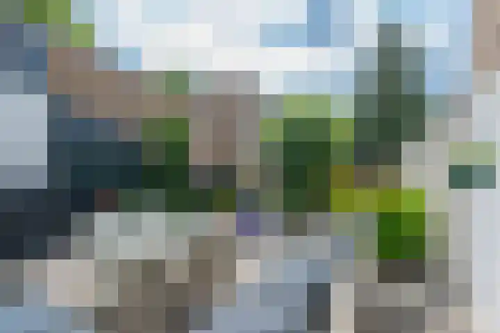 Bartolomeo Diazlaan 71 Utrecht thumbnail 64