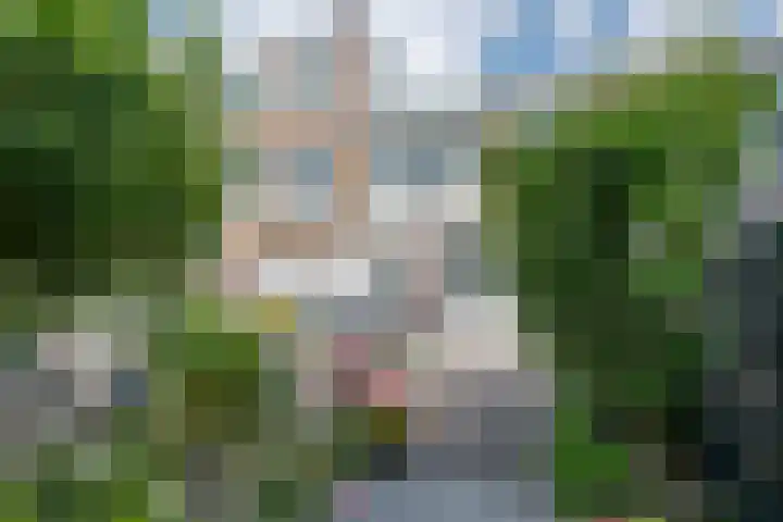 Bartolomeo Diazlaan 71 Utrecht thumbnail 67