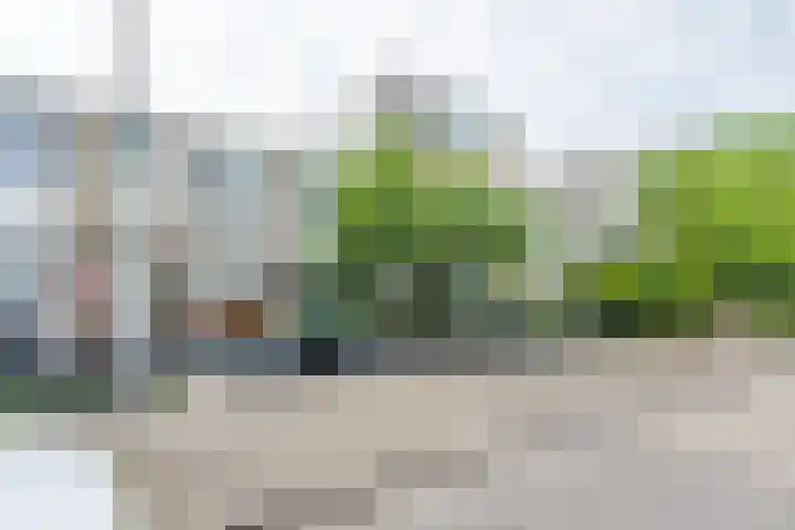 Bartolomeo Diazlaan 71 Utrecht thumbnail 77