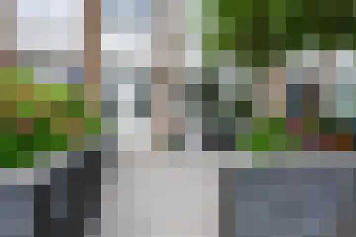 Bartolomeo Diazlaan 71 Utrecht thumbnail 78