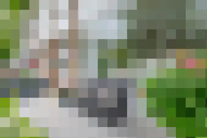 Bartolomeo Diazlaan 71 Utrecht thumbnail 80