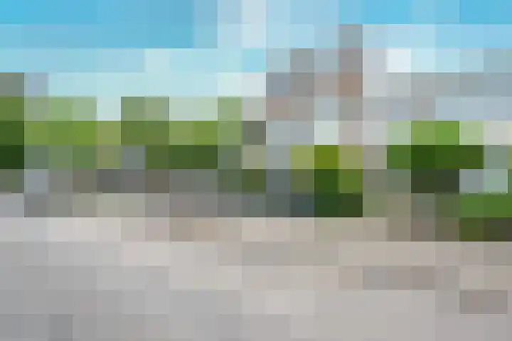 Bartolomeo Diazlaan 71 Utrecht thumbnail 85