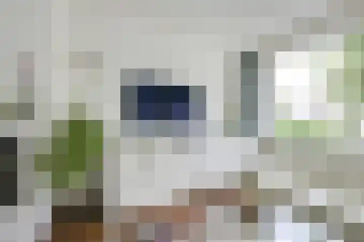 Bartolomeo Diazlaan 71 Utrecht thumbnail 9