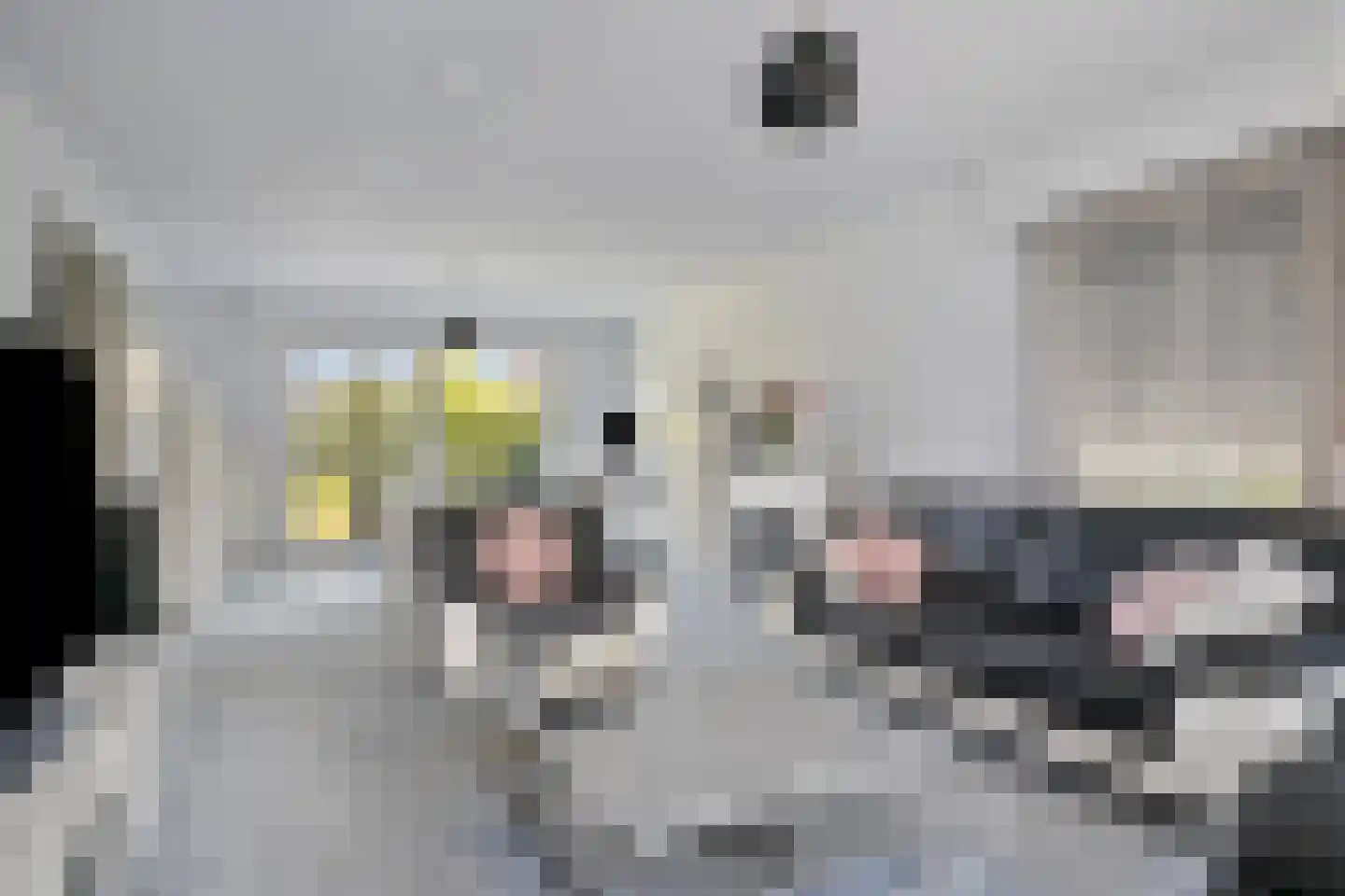 Bartolomeus Diazstraat 15 Hulst thumbnail 7