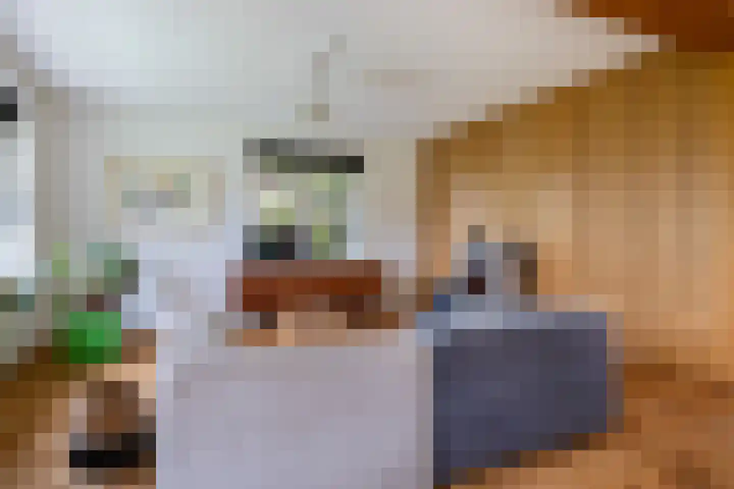 Bartolottilaan 1 Soest thumbnail 15