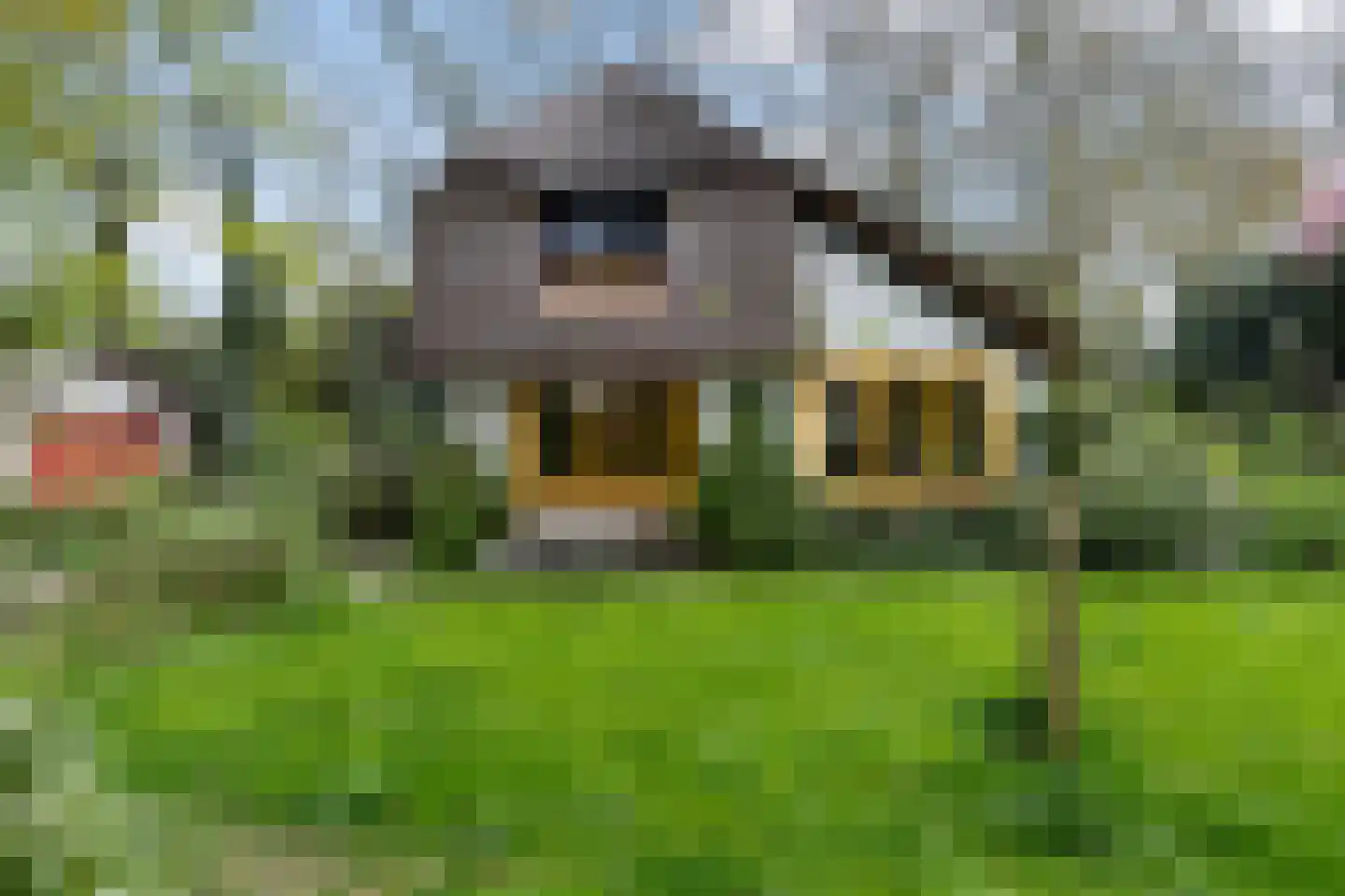 Bartolottilaan 1 Soest thumbnail 34