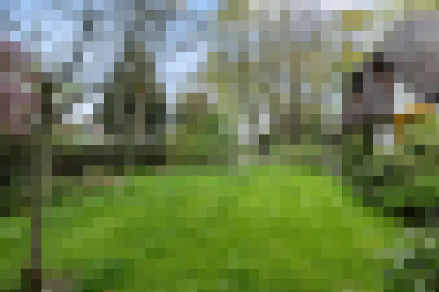 Bartolottilaan 1 Soest thumbnail 39