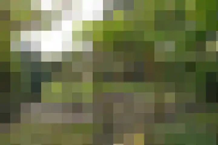 Bartolottilaan 41 Soest thumbnail 13