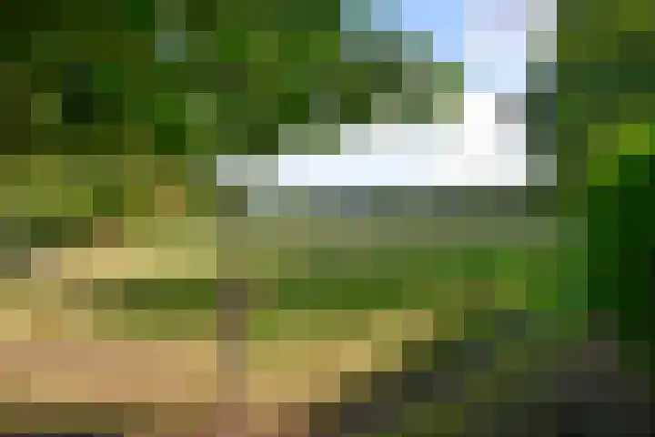 Bartolottilaan 41 Soest thumbnail 14